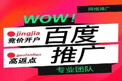 sem代运营公司案例分享：如何精准投放广告
